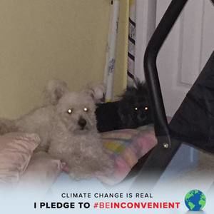 Meet your Posher, Rena